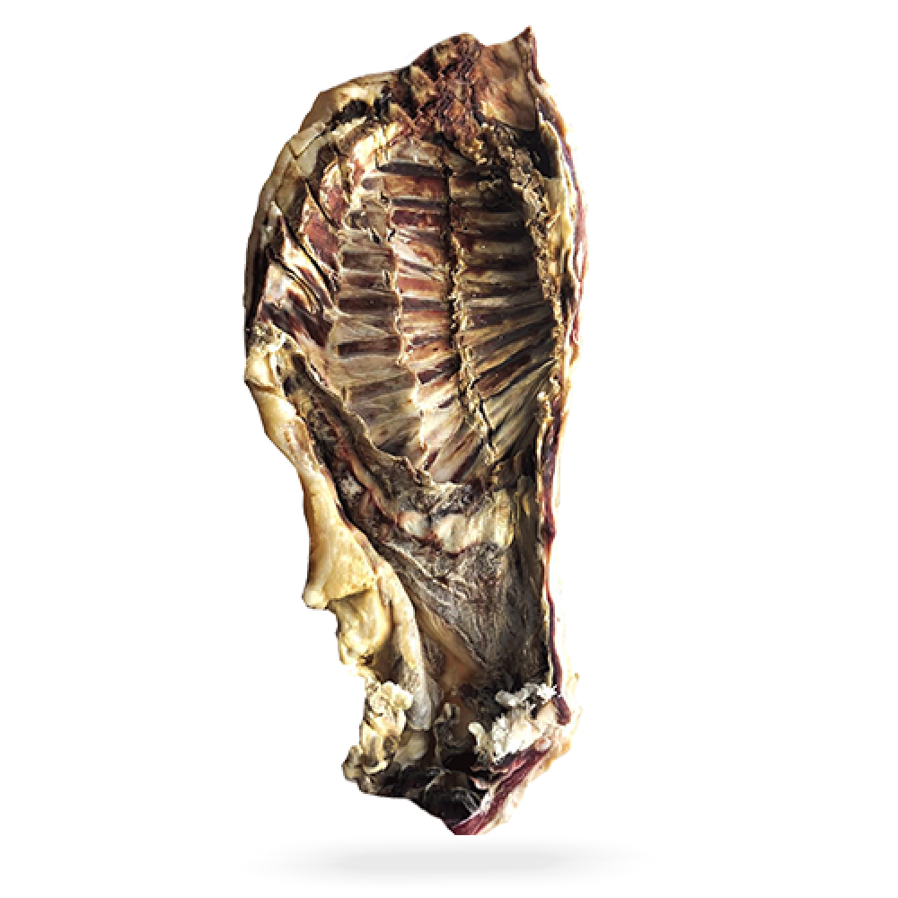 Сушеная баранина